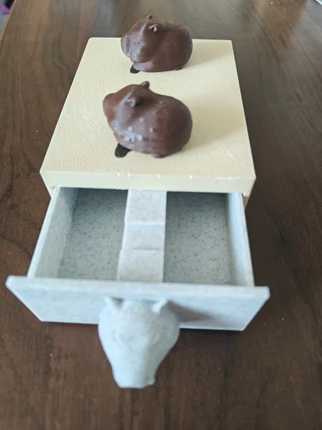 Capybara Lock Box — Hộp Ngăn Kéo Khóa Từ Kết Hợp Hai Chìa Khóa - Image 11