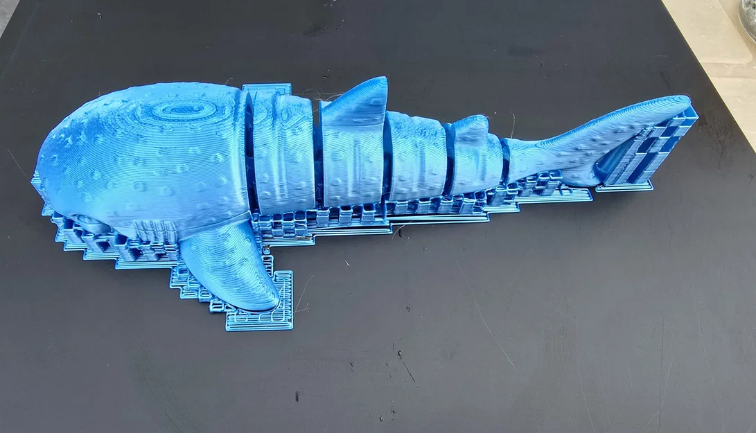 Cá mập voi khớp nối linh hoạt (Flexi Whale shark) - Image 2