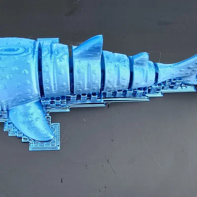 Cá mập voi khớp nối linh hoạt (Flexi Whale shark)