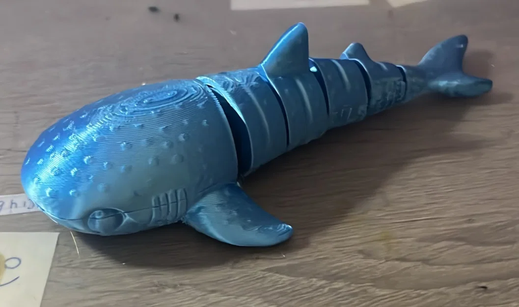 Cá mập voi khớp nối linh hoạt (Flexi Whale shark) - Image 5