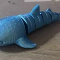 Cá mập voi khớp nối linh hoạt (Flexi Whale shark) - Thumbnail 5