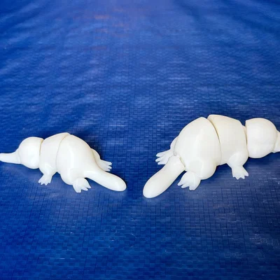 Mô hình Thú mỏ vịt Articulated và Móc khóa thú mỏ vịt