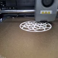 Bộ đế lót ly trang trí họa tiết hình tròn (Circled Coasters) - Thumbnail 5