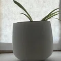 Bộ Chậu Cây (kèm Bình Tưới) - Thumbnail 2