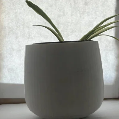 Bộ Chậu Cây (kèm Bình Tưới)