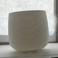 Bộ Chậu Cây (kèm Bình Tưới) - Thumbnail 3