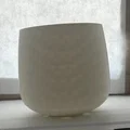Bộ Chậu Cây (kèm Bình Tưới) - Thumbnail 5
