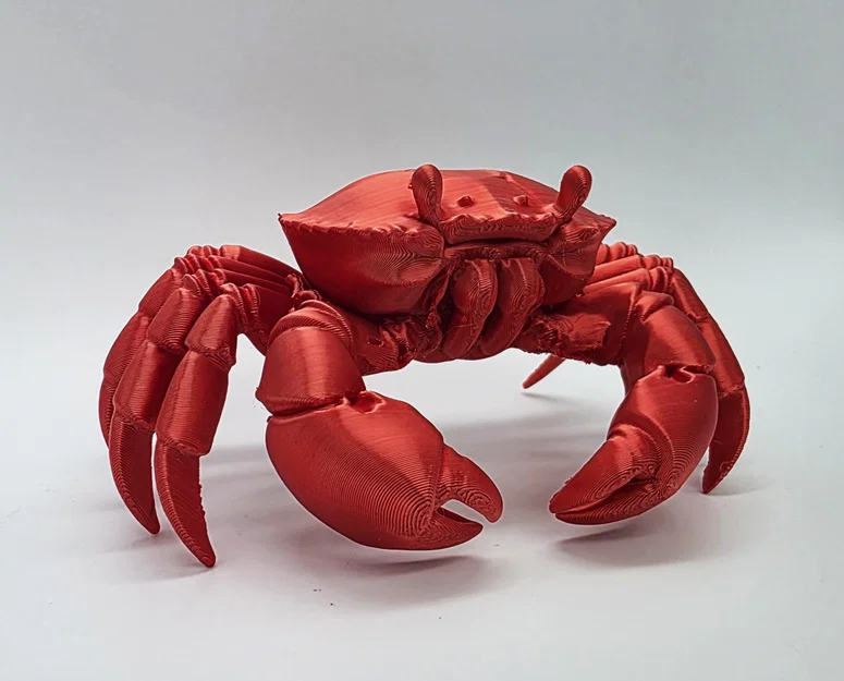 Mô hình Cua chân thực (Realistic Crab) - Image 1