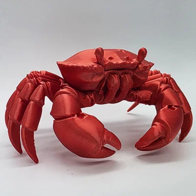 Mô hình Cua chân thực (Realistic Crab)