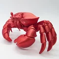 Mô hình Cua chân thực (Realistic Crab) - Thumbnail 4