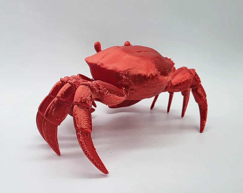 Mô hình Cua chân thực (Realistic Crab) - Image 5