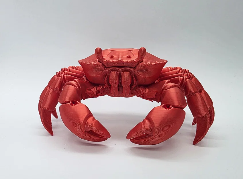 Mô hình Cua chân thực (Realistic Crab) - Image 6
