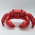 Mô hình Cua chân thực (Realistic Crab) - Thumbnail 6