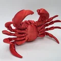 Mô hình Cua chân thực (Realistic Crab) - Thumbnail 8