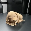 Tượng cún con đang ngủ (Sleeping Puppy 2) - Mô hình in 3D decor dễ thương - Thumbnail 8