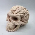 Mô hình đầu lâu chạm khắc đá - Thumbnail 1