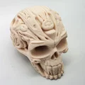 Mô hình đầu lâu chạm khắc đá - Thumbnail 3