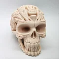 Mô hình đầu lâu chạm khắc đá - Thumbnail 6