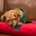 Luke_2878275