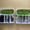 Khay Đựng Game Earth Board Game + Bản Mở Rộng Abundance - Thumbnail 4