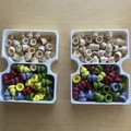 Khay Đựng Game Earth Board Game + Bản Mở Rộng Abundance - Thumbnail 6