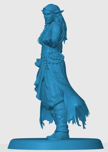 Mô hình Firbolg Monk - Image 4