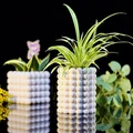Bình hoa Bubble Vase - Thiết kế độc đáo - Thumbnail 1