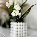 Bình hoa Bubble Vase - Thiết kế độc đáo - Thumbnail 6