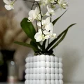 Bình hoa Bubble Vase - Thiết kế độc đáo - Thumbnail 7