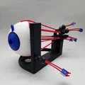 Mô hình Cơ vận nhãn - Giải phẫu mắt người - Thumbnail 3