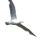 AdamVlasak_4462061
