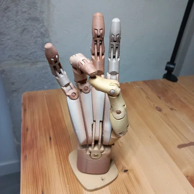 Mô hình bàn tay cử động linh hoạt (Articulated Hand)