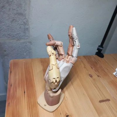 Mô hình bàn tay cử động linh hoạt (Articulated Hand)