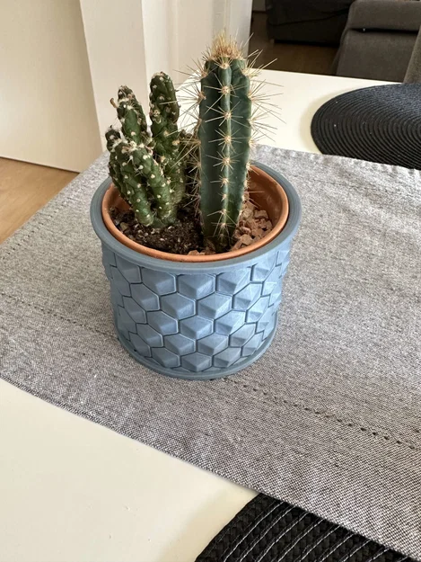 Mẫu in 3D chậu trồng cây họa tiết tổ ong (Cactus Vase) sang trọng - Image 1