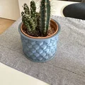 Mẫu in 3D chậu trồng cây họa tiết tổ ong (Cactus Vase) sang trọng - Thumbnail 1