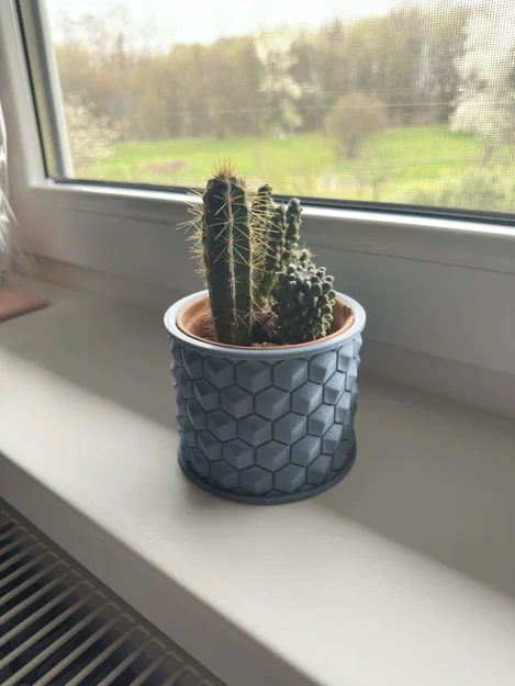 Mẫu in 3D chậu trồng cây họa tiết tổ ong (Cactus Vase) sang trọng - Image 2