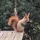 hawlik_115083