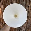 S33D - HOME - VASE - Bình Hoa Đồng Hồ Cát | Thiết kế hữu cơ - Thumbnail 2