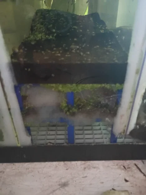 Vách ngăn vật liệu lọc cho bể lọc (sump) hồ cá - Image 3