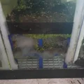 Vách ngăn vật liệu lọc cho bể lọc (sump) hồ cá - Thumbnail 3