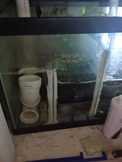 Vách ngăn vật liệu lọc cho bể lọc (sump) hồ cá - Image 4