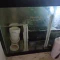 Vách ngăn vật liệu lọc cho bể lọc (sump) hồ cá - Thumbnail 4