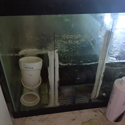 Vách ngăn vật liệu lọc cho bể lọc (sump) hồ cá