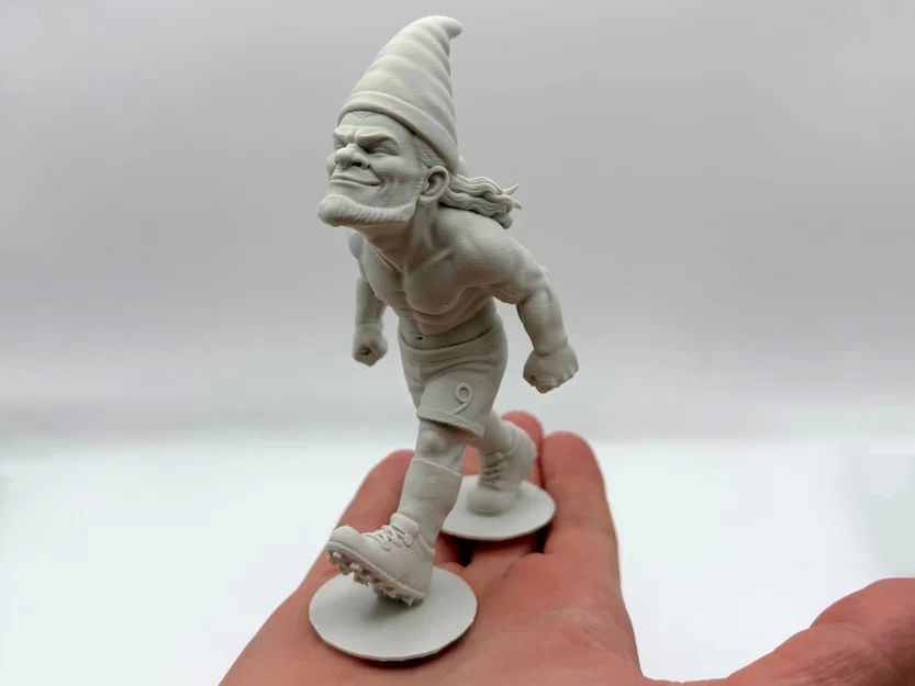 Tượng lùn giữ vườn Haaland (Haaland Garden Gnome) - Image 1