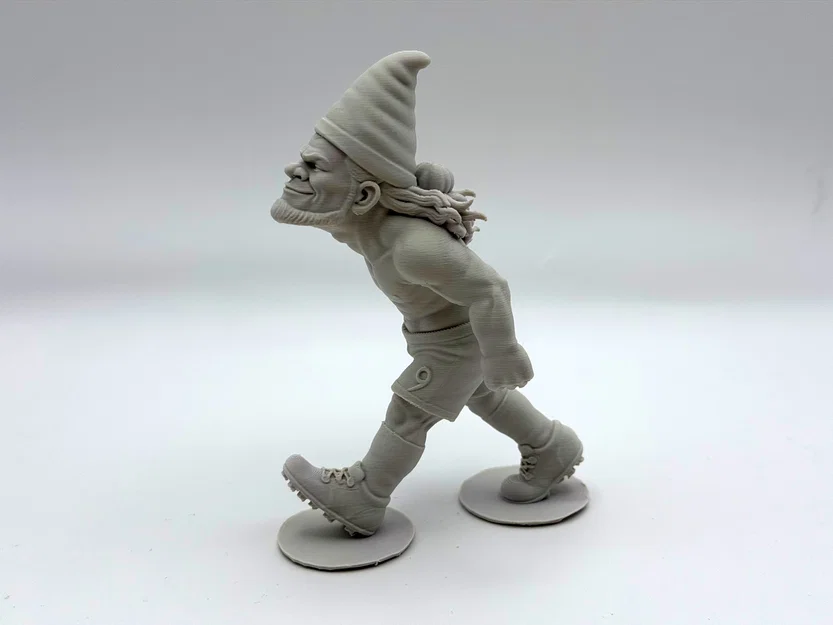 Tượng lùn giữ vườn Haaland (Haaland Garden Gnome) - Image 2