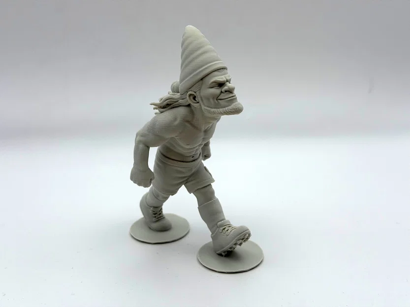 Tượng lùn giữ vườn Haaland (Haaland Garden Gnome) - Image 5
