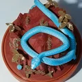 Rắn lục đảo (Trimeresurus insularis) - Mô hình tiểu cảnh để bàn - Thumbnail 6