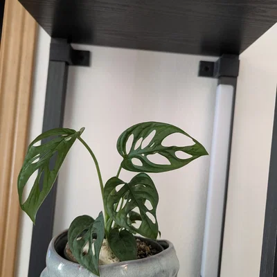 Giá đỡ gắn tường cho kệ cột