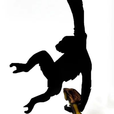 Móc treo chuối hình khỉ độc đáo cho không gian bếp (Monkey Banana Hanger)