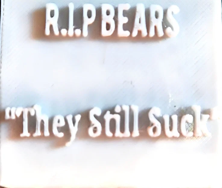 Biển hiệu trang trí 3D R.I.P BEARS - They Still Suck - Image 1